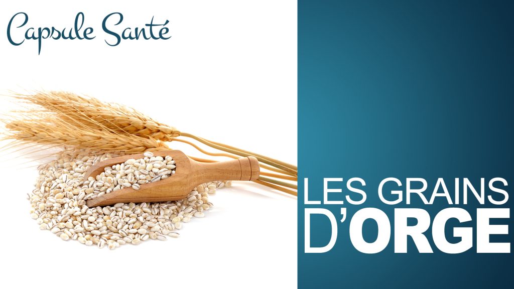 Les grains d'orge