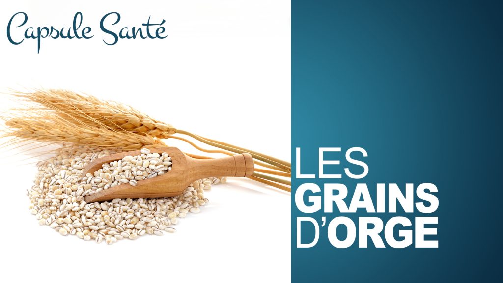 CS Le quinoa