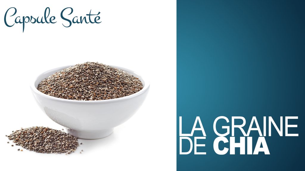 La graine de chia