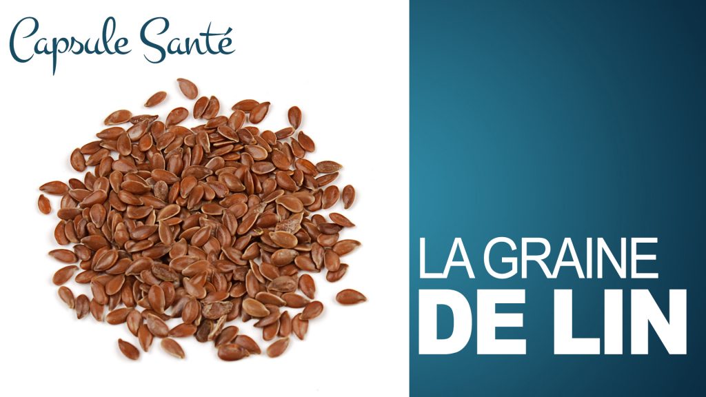 La graine de lin