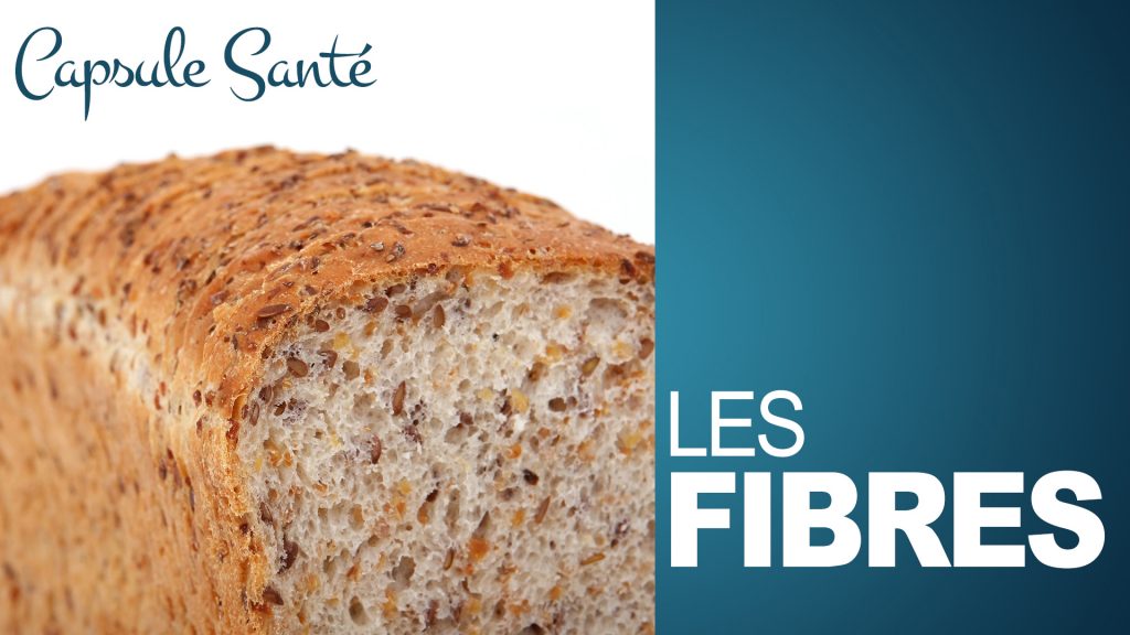 Les fibres