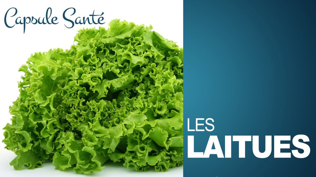La laitue