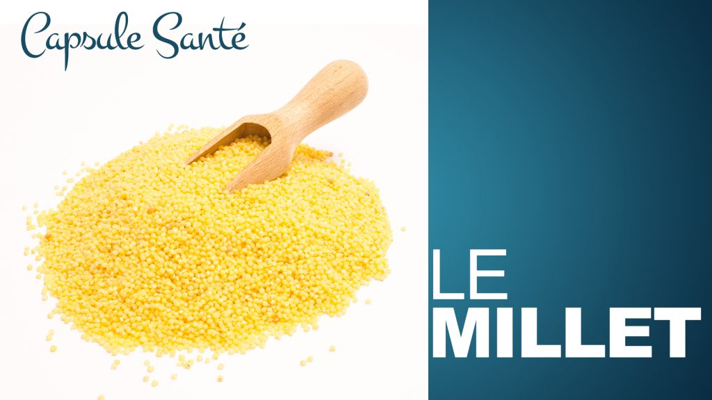 Le millet
